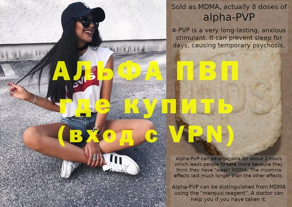 стаф Белокуриха