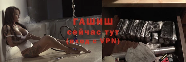 стаф Белокуриха