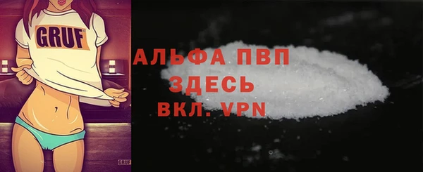 стаф Белокуриха