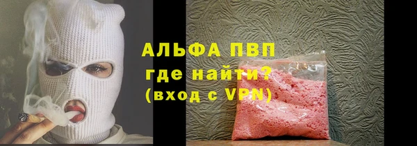 стаф Белокуриха